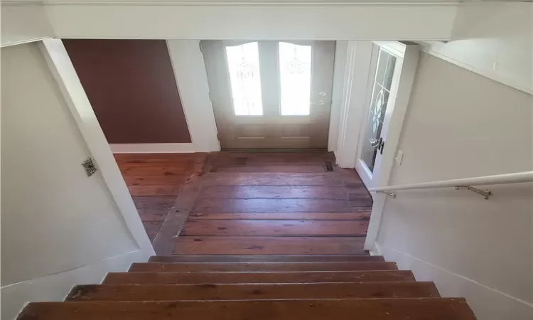 Stairs featuring hardwood / wood-style flooring