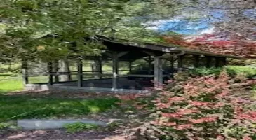 259 Lackawaxen Road, Tusten, NY, ,Residential,For Sale,Lackawaxen,H6309382