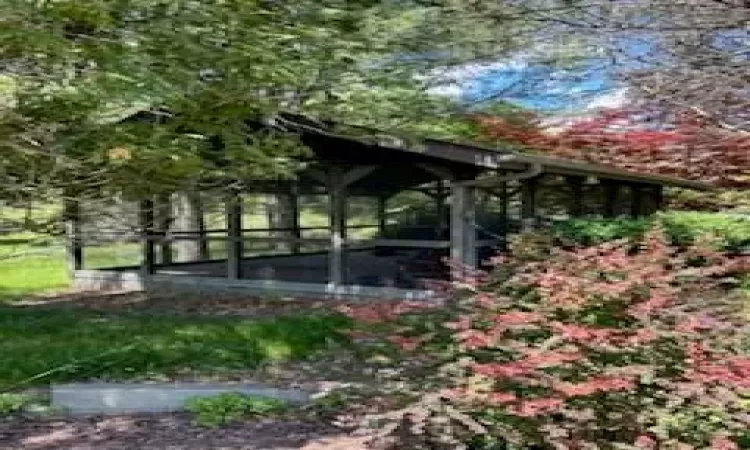 259 Lackawaxen Road, Tusten, NY, ,Residential,For Sale,Lackawaxen,H6309382