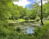 View of visible neighboring pond (Dahlia #2) also 10+acres for sale