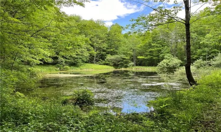 View of visible neighboring pond (Dahlia #2) also 10+acres for sale