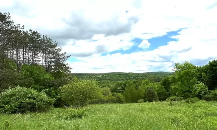 Valley and Mountain views with private pond