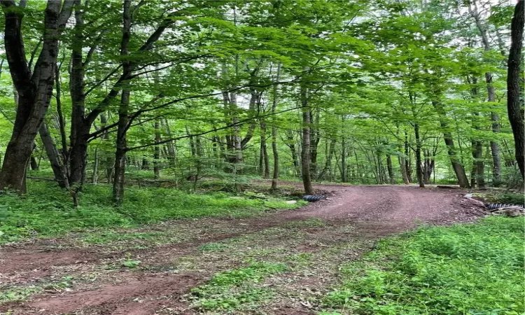 New driveway in