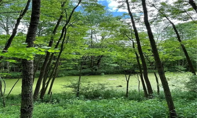 Pond with diverse eco systems