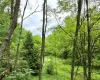 View of pond and forest from where the camper currently sits.