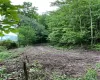 Original driveway to the left- needs a little rehab