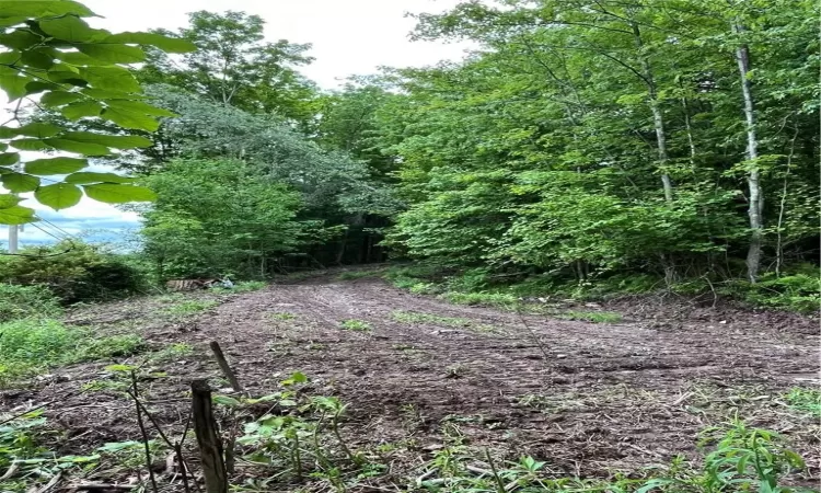 Original driveway to the left- needs a little rehab