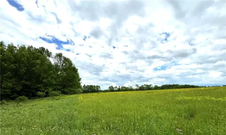 View at the back of the property