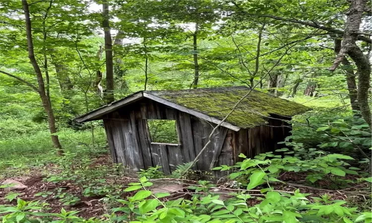 View of shed / structure