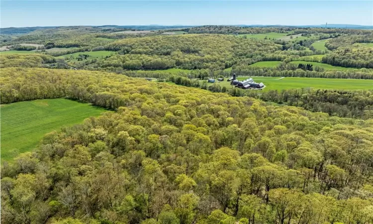 Silver Mountain Road, Millerton, NY, ,Land,For Sale,Silver Mountain,H6308024