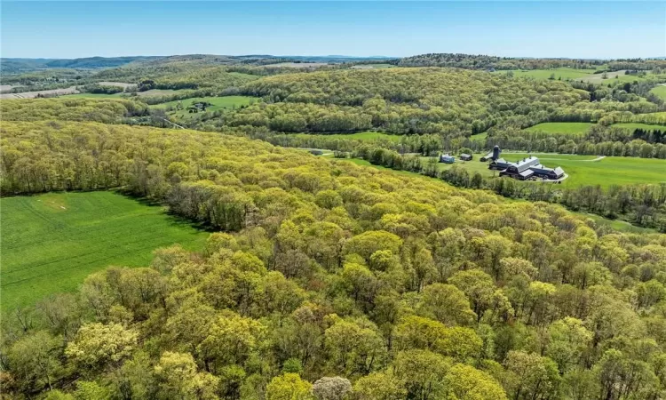 Silver Mountain Road, Millerton, NY, ,Land,For Sale,Silver Mountain,H6308024