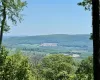 Silver Mountain Road, Millerton, NY, ,Land,For Sale,Silver Mountain,H6308024