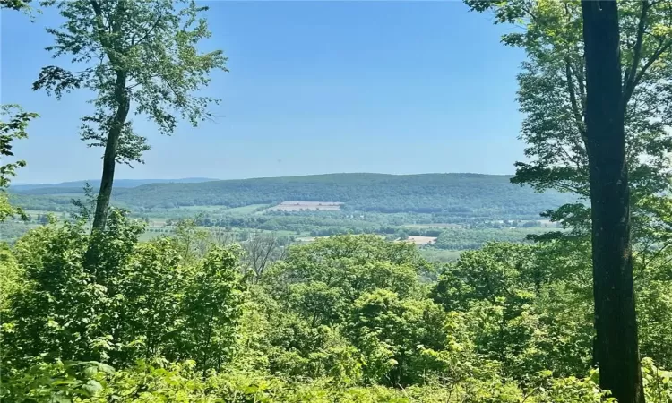 Silver Mountain Road, Millerton, NY, ,Land,For Sale,Silver Mountain,H6308024