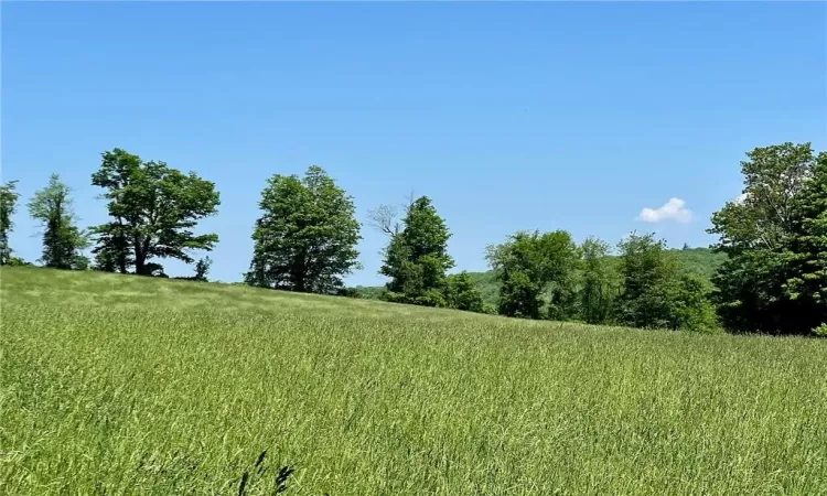 Silver Mountain Road, Millerton, NY, ,Land,For Sale,Silver Mountain,H6308227