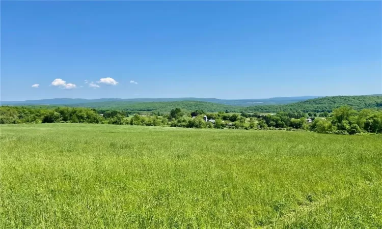 Silver Mountain Road, Millerton, NY, ,Land,For Sale,Silver Mountain,H6308209