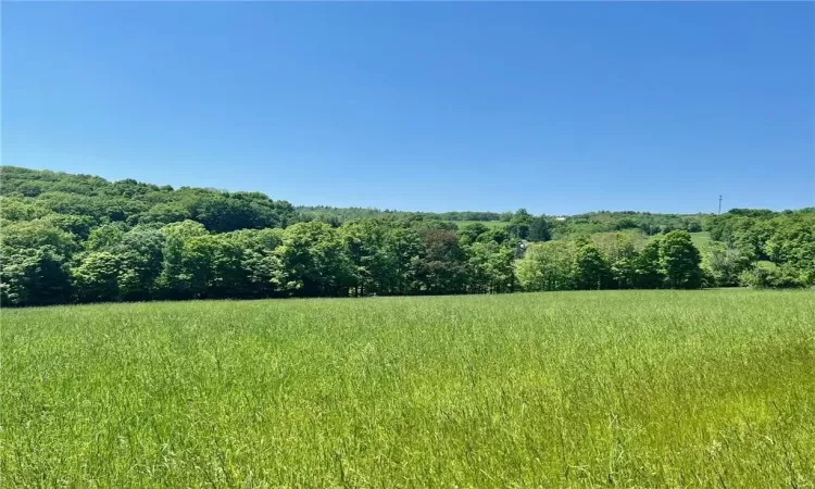 Silver Mountain Road, Millerton, NY, ,Land,For Sale,Silver Mountain,H6308212