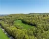 Silver Mountain Road, Millerton, NY, ,Land,For Sale,Silver Mountain,H6308212