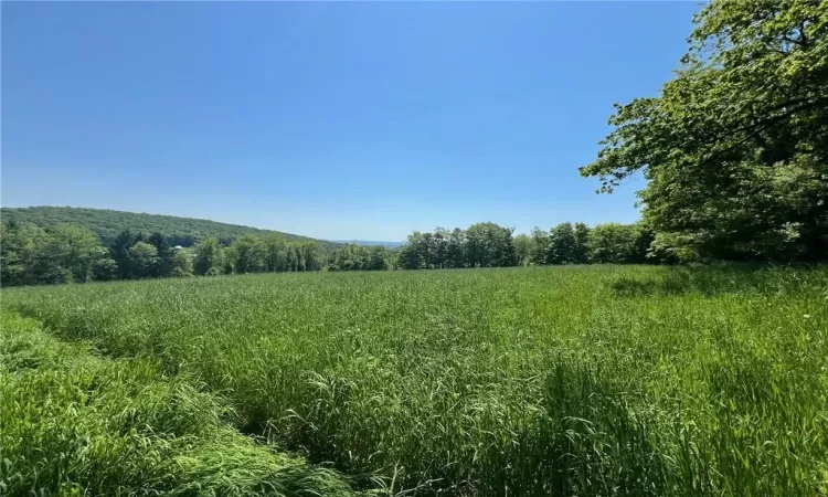 Silver Mountain Road, Millerton, NY, ,Land,For Sale,Silver Mountain,H6308212