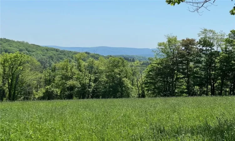 Silver Mountain Road, Millerton, NY, ,Land,For Sale,Silver Mountain,H6308212