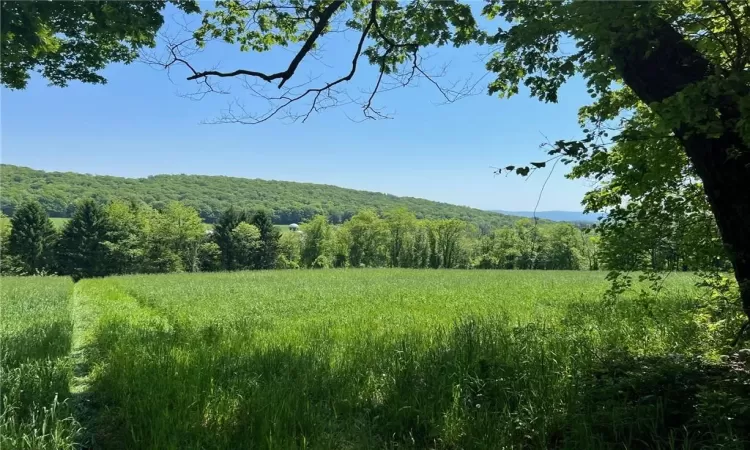 Silver Mountain Road, Millerton, NY, ,Land,For Sale,Silver Mountain,H6308212