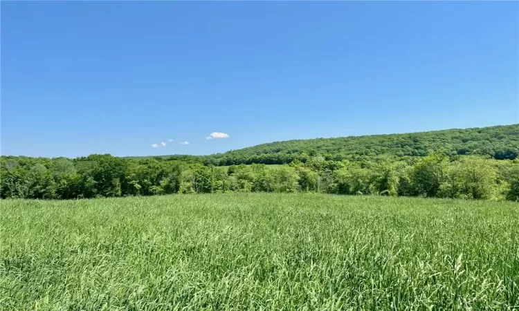 Silver Mountain Road, Millerton, NY, ,Land,For Sale,Silver Mountain,H6308212