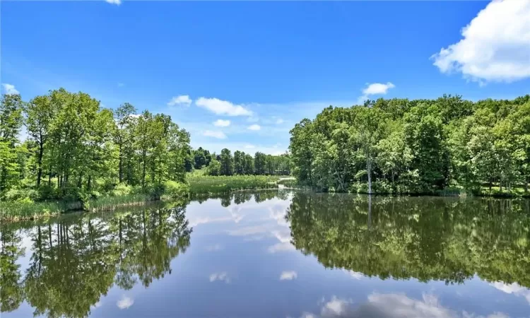 View of Chrystler Pond