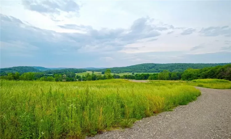 390 Carpenter Hill Road, Pine Plains, NY, ,Land,For Sale,Carpenter Hill,H6313692