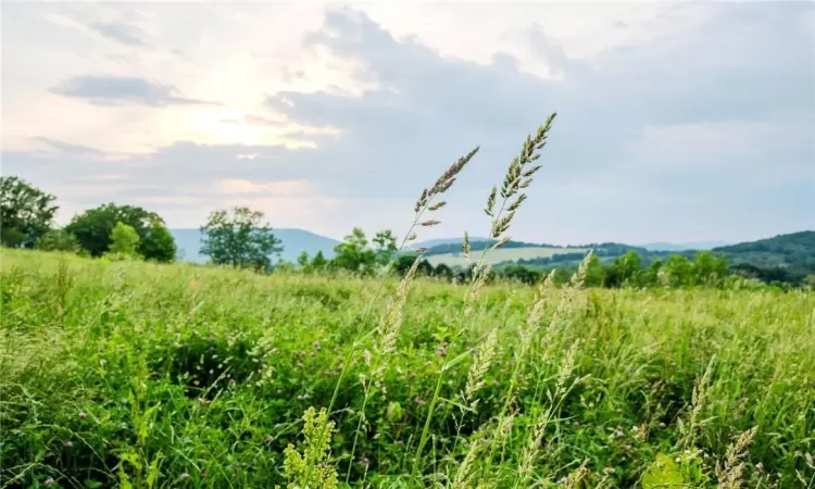 390 Carpenter Hill Road, Pine Plains, NY, ,Land,For Sale,Carpenter Hill,H6313692