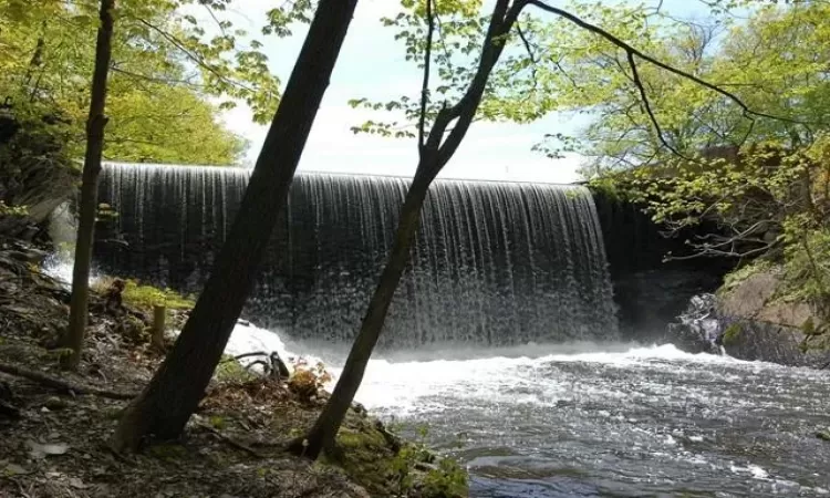 Waterfall in your backyard