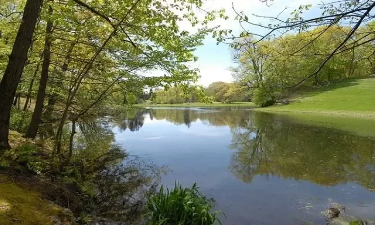 Gorgeous Peacefull Water views