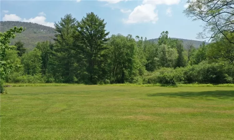 View of yard with a mountain view