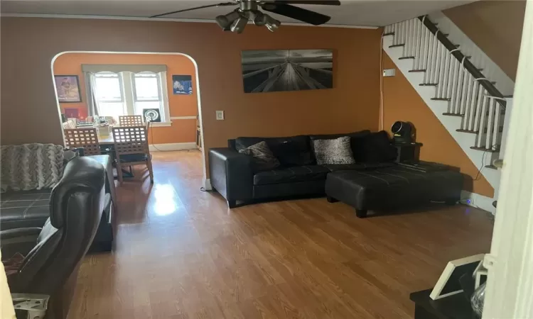 Living room with ceiling fan, ornamental molding, and hardwood / wood-style flooring