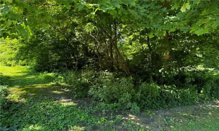 Rapalje Road, Fishkill, NY, ,Land,For Sale,Rapalje,H6314535