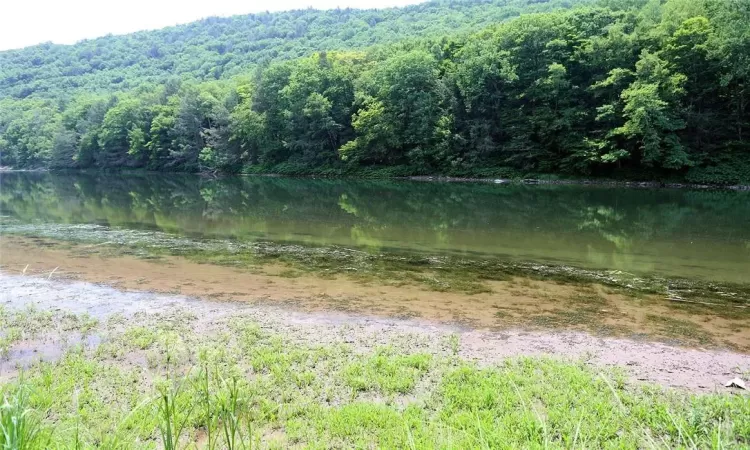 Delaware River frontage