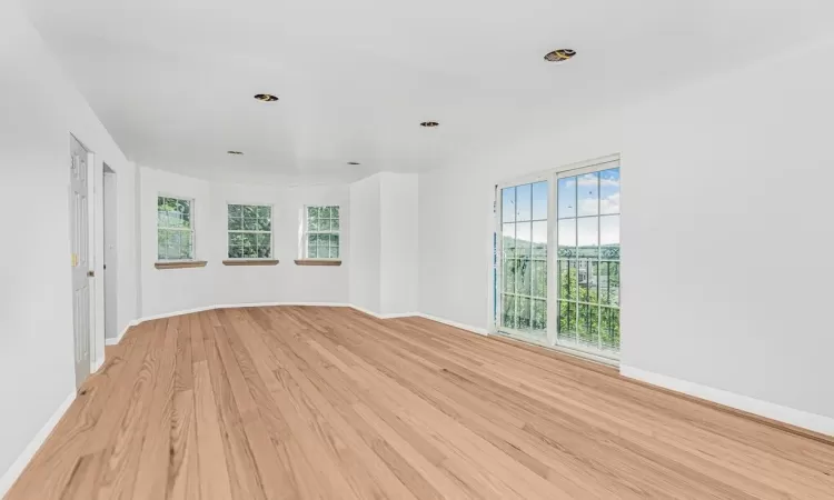 light hardwood / wood-style floors