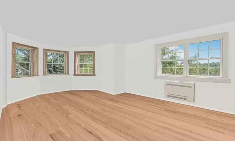 light hardwood / wood-style flooring