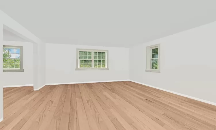 ight hardwood / wood-style floors