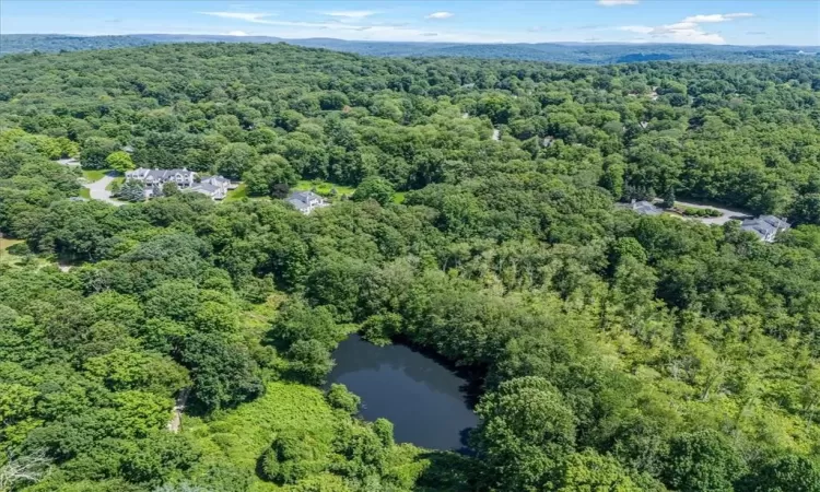 Private pond for boating or fishing