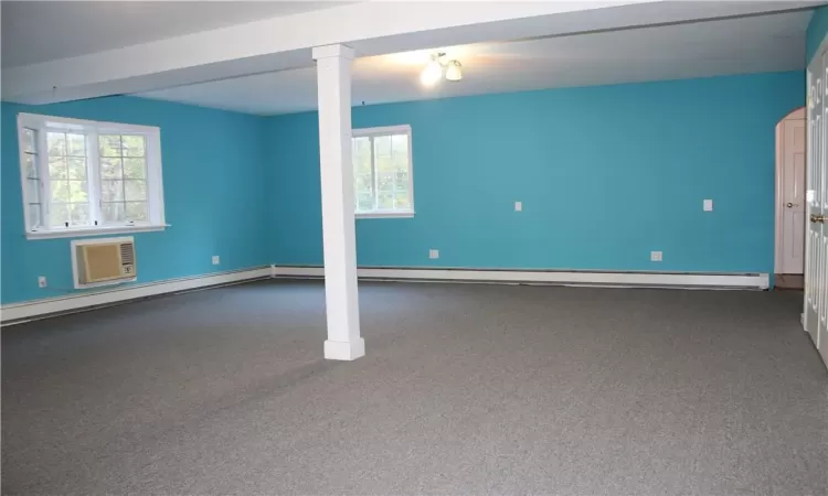 Huge bonus room with tons of storage and brand new carpeting