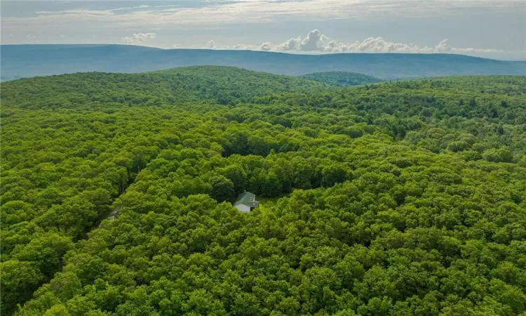 Drone / aerial view with a mountain view