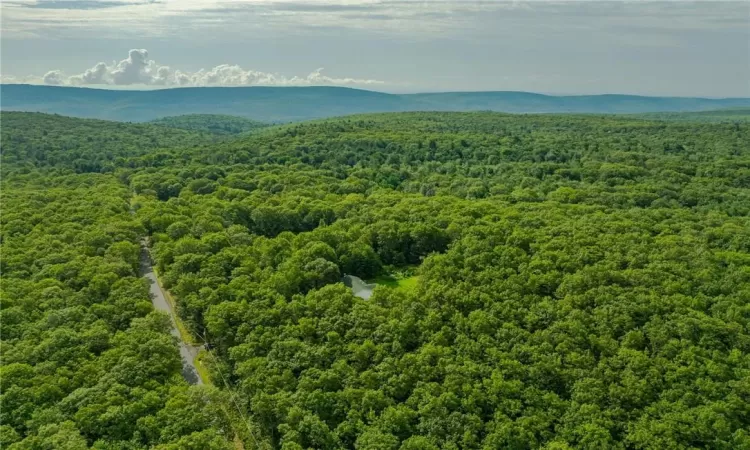 Birds eye view of property with a mountain view