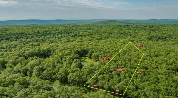 Budd Road, Mamakating, NY, ,Land,For Sale,Budd,H6318516