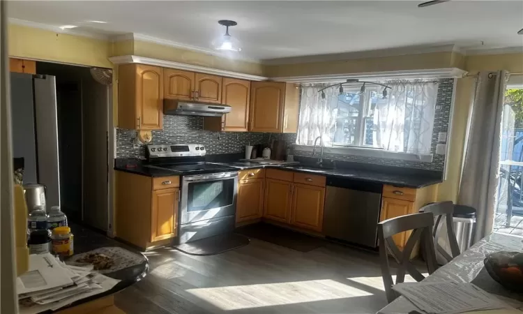 Kitchen featuring decorative backsplash, dark hardwood / wood-style floors, sink, crown molding, and stainless steel appliances