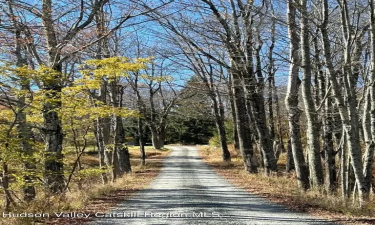 View of road