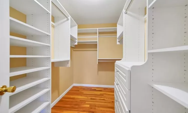 Spacious closet with hardwood / wood-style flooring