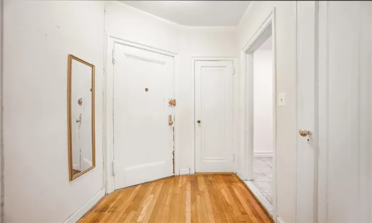 Doorway to outside with light wood-type flooring