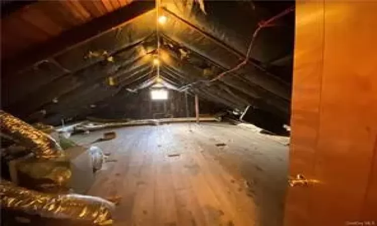 View of unfinished attic