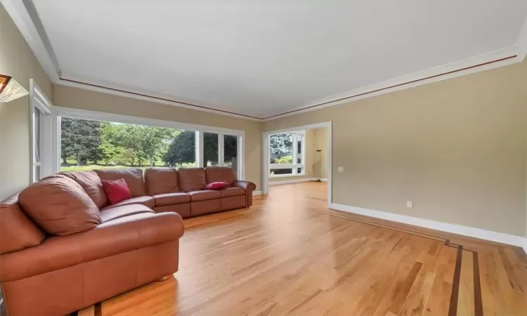 Living room featuring light hardwood / wood-style flooring and crown molding