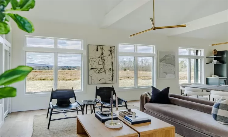 Living room featuring a wealth of natural light, beamed ceiling, and light hardwood / wood-style floors