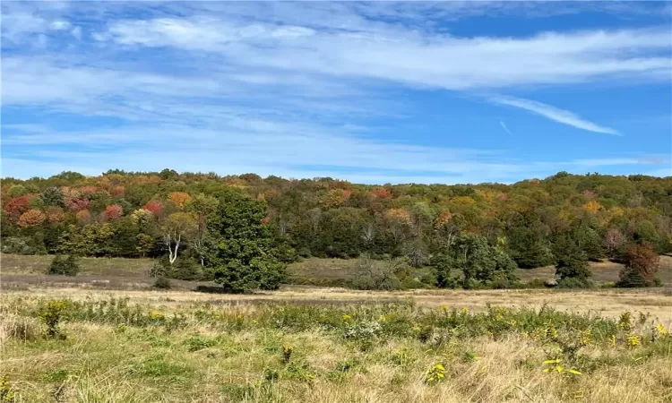 View of nature